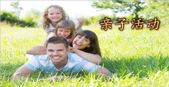 金芒果未來領(lǐng)袖—日常活動(dòng)照片展示
